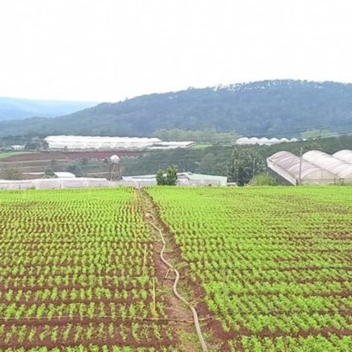 Chuyển Đổi Số Ở Xã Vùng Biên Quảng Trị: Không Chỉ Là Câu Chuyện Của Một Địa Phương